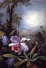 Orchids Canvas Paintings - Orchids, Passion Flowers and Hummingbird